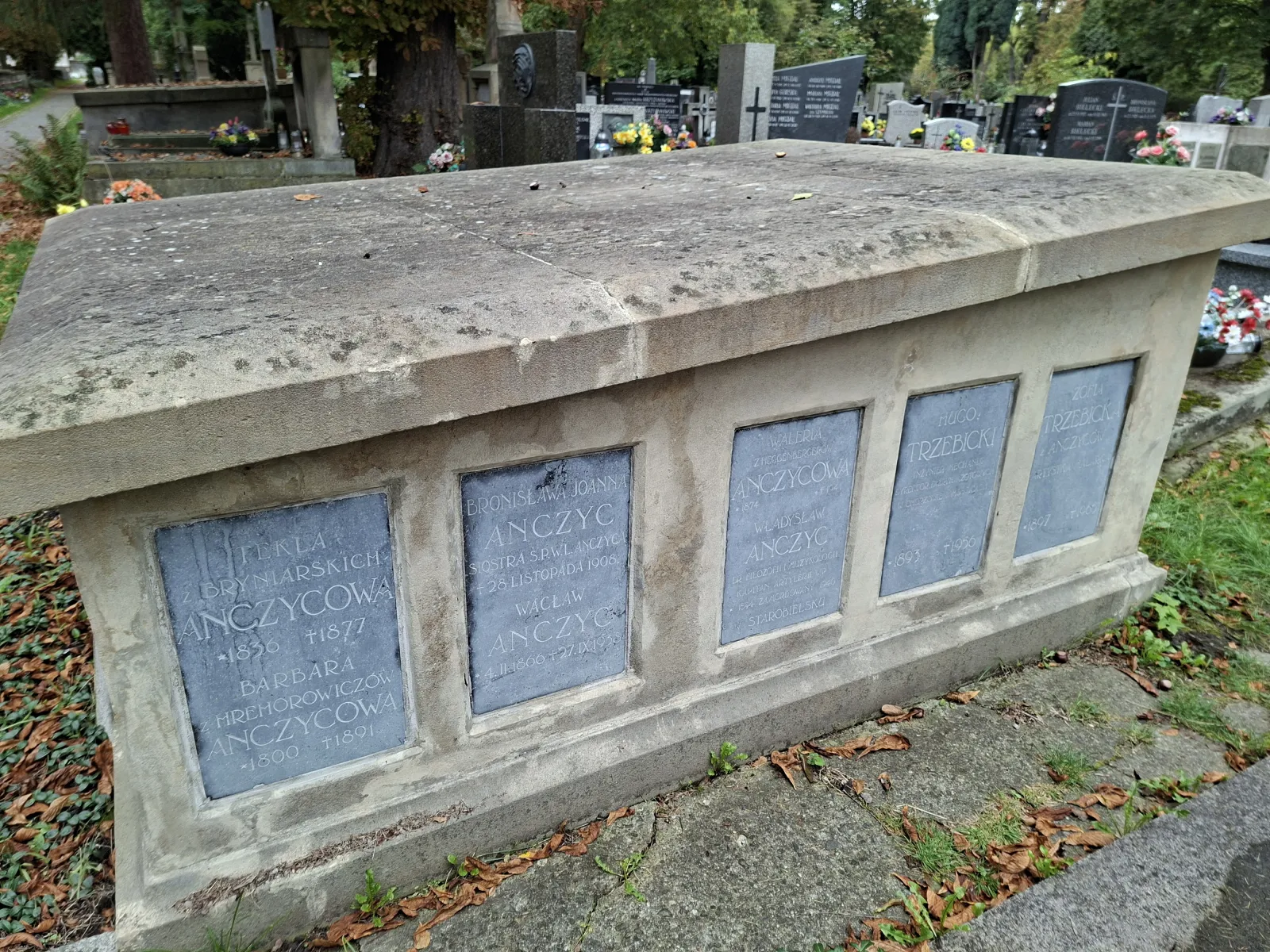 Bronisława Anczyc