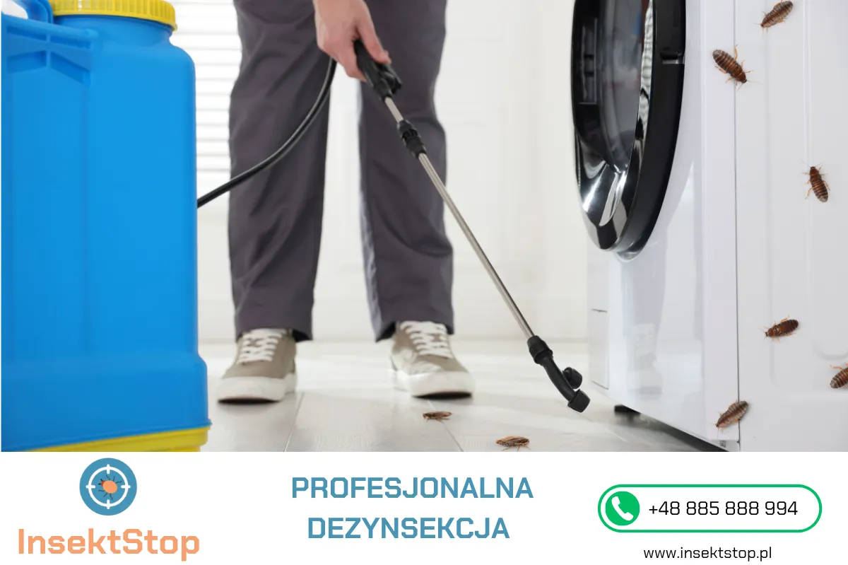 profesjonalna dezynsekcja