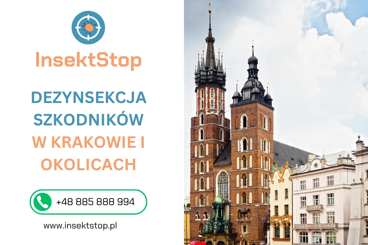 dezynsekcja szkodnik&oacute;w